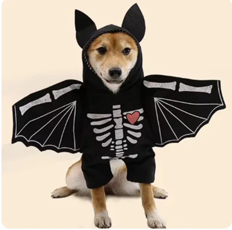 Halloween Bat Costume for Dogs-Deals With JT