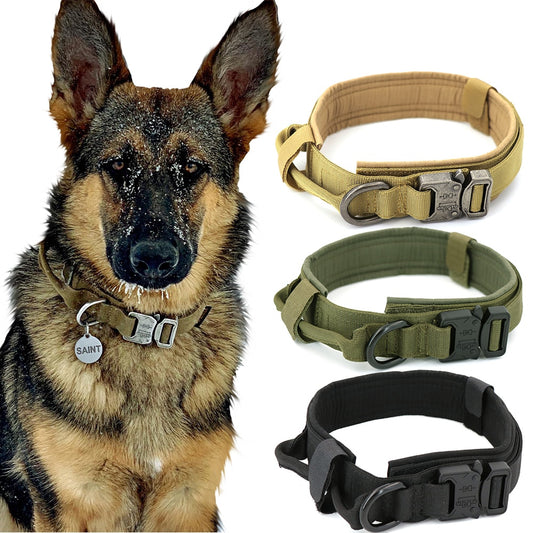 Durable & Stylish Dog Collars for All Breeds