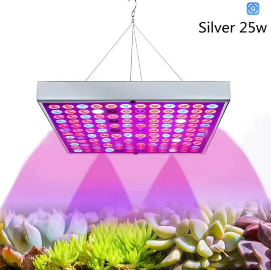 LED Grow Light for Seedlings in Greenhouses